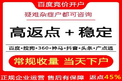 百度竞价代运营公司成功案例分析